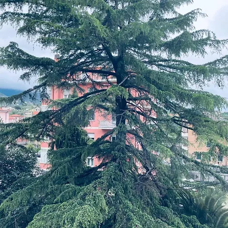 La Casa Di Debora Apartment